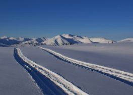 Снегоходное путешествие по Алтаю